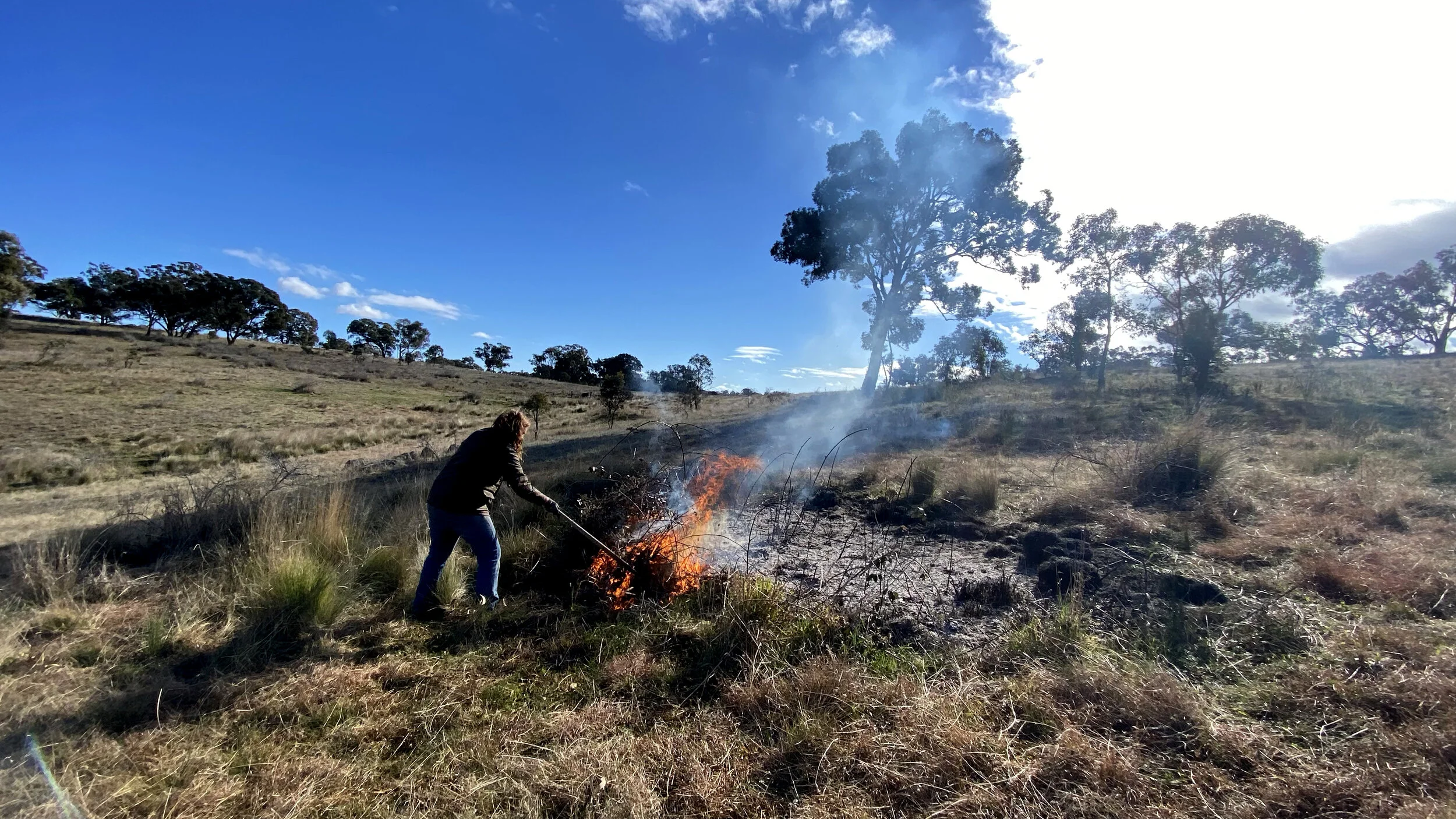 targeted cool burns — Wandiyali Restoration Trust